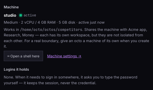 An octo's Body tab: the machine it runs on, the folder it works in, and who it shares the machine with